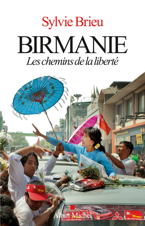 ebook cover of Birmanie, by Sylvie Brieu