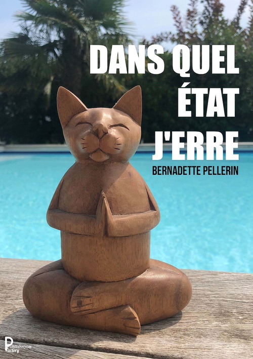 Couverture ebook de Dans quel état j'erre ?, de Bernadette Pellerin
