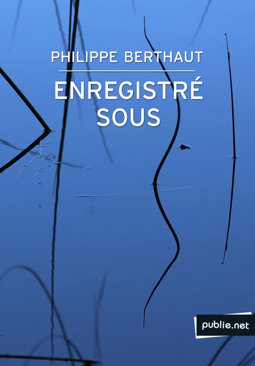 ebook cover of Enregistré sous..., by Philippe Berthaut