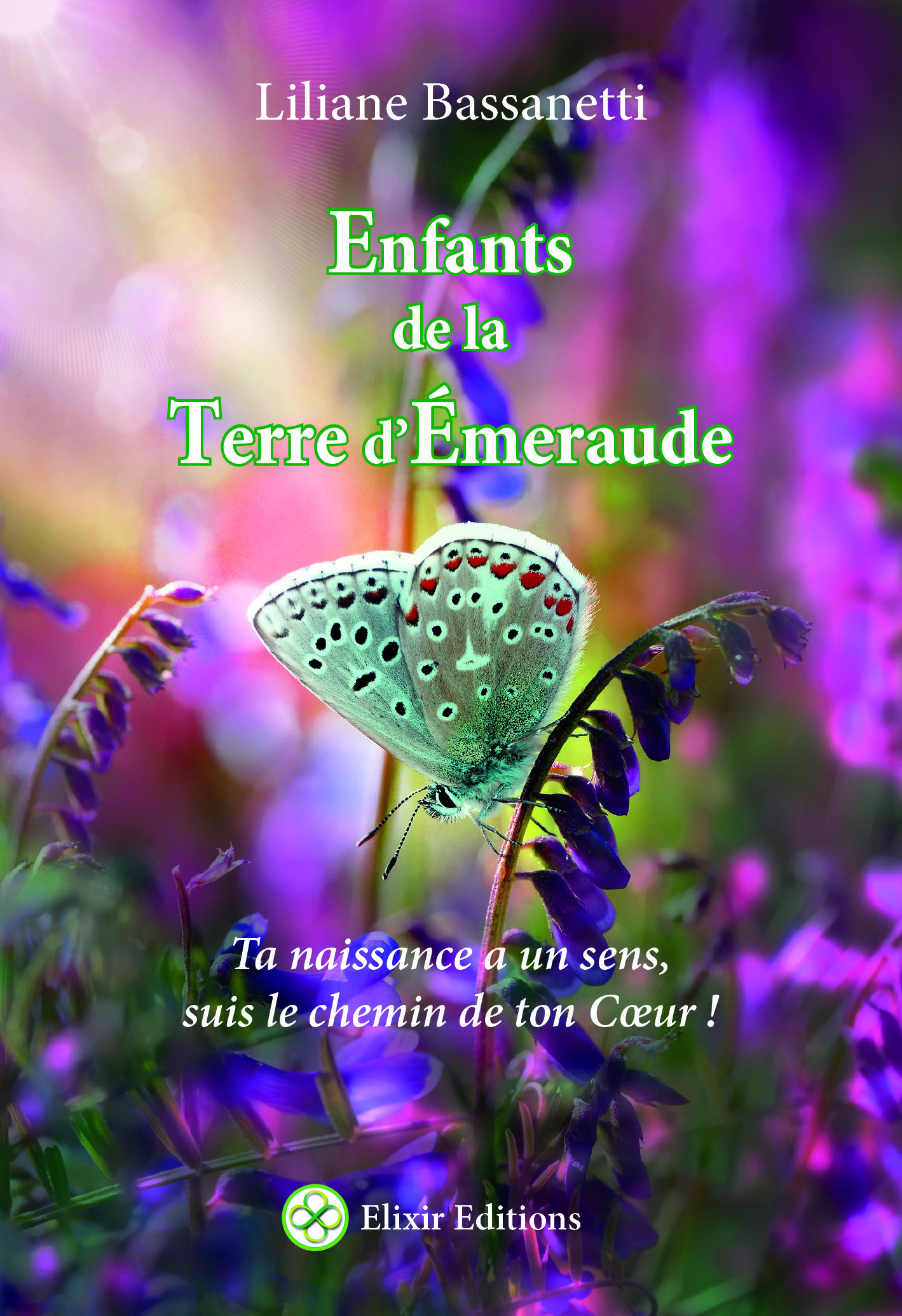 Couverture ebook de Enfants Terre d'Émeraude ta naissance a un sens, suis le chemin de ton coeur, de Liliane Bassanetti
