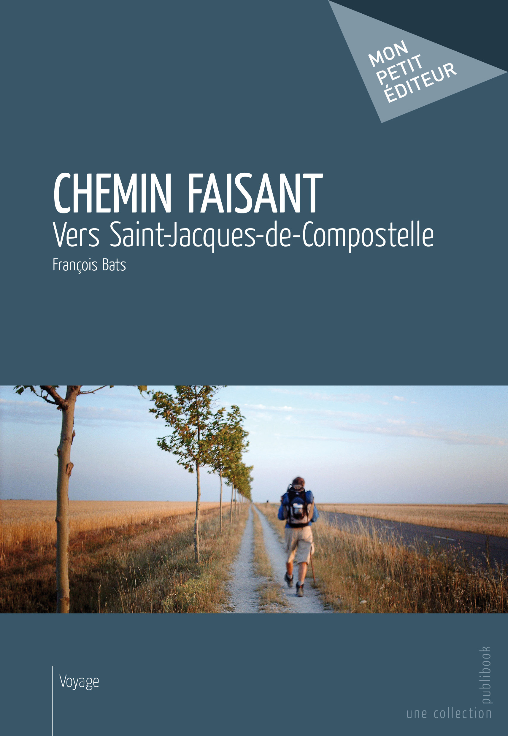 Couverture ebook de Chemin faisant, de François Bats