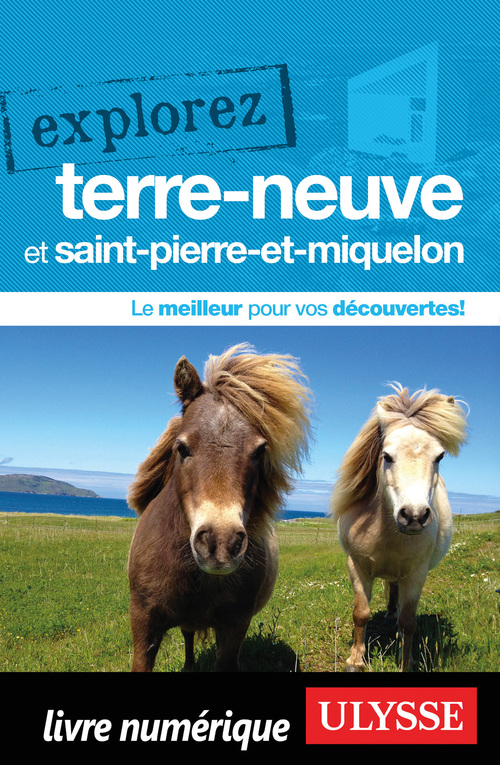 ebook cover of Explorez Terre-Neuve et Saint-Pierre-et-Miquelon, by Collectif