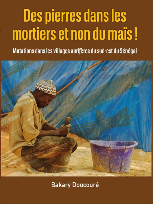 ebook cover of Des pierres dans les mortiers et non du maïs !, by Bakary Doucoure