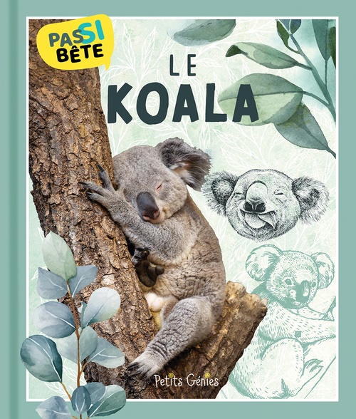 ebook cover of Pas si bête Le KOALA, by Pierre-Alexandre Bonin