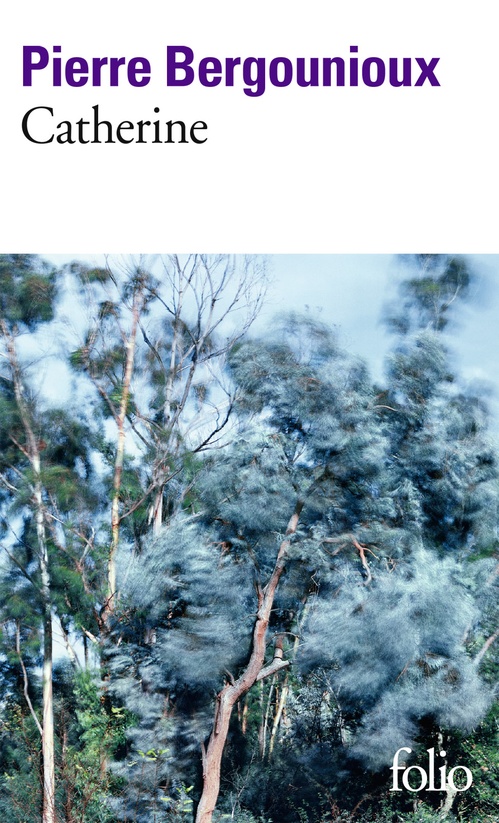 ebook cover of Catherine, by Pierre Bergounioux