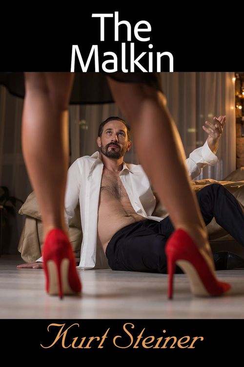ebook cover of The Malkin, by Kurt Steiner