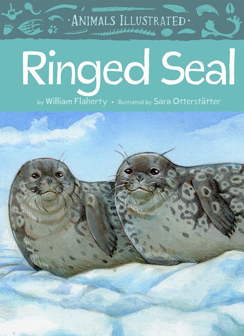 ebook cover of Animals Illustrated: Ringed Seal, by William Flaherty