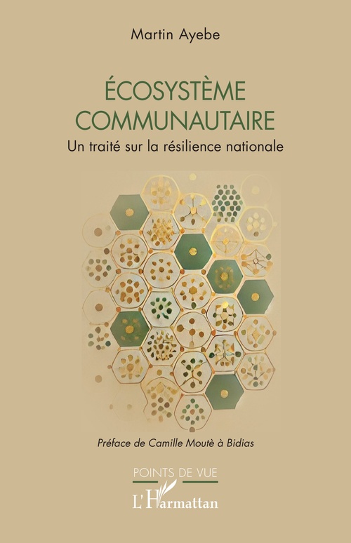 Couverture ebook de Ecosystème communautaire, de Martin Ayebe, Camille Moute A Bidias