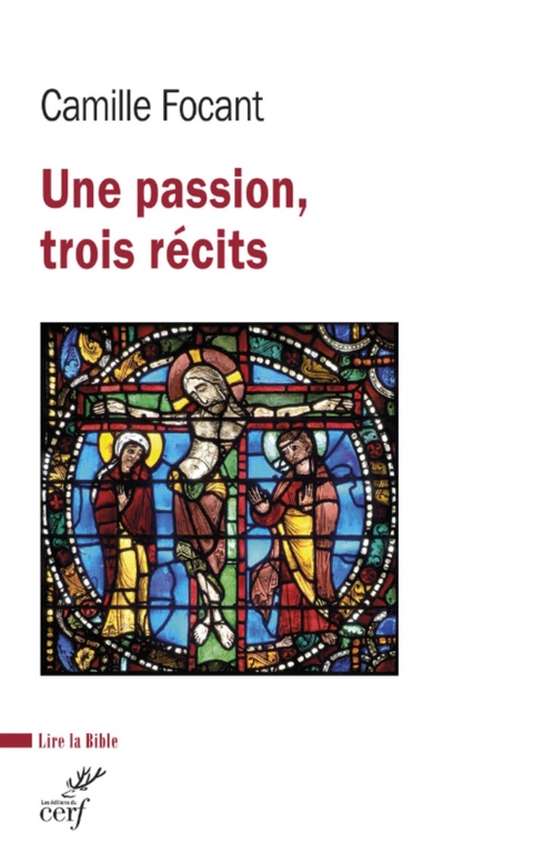Couverture ebook de UNE PASSION, TROIS RECITS, de FOCANT CAMILLE