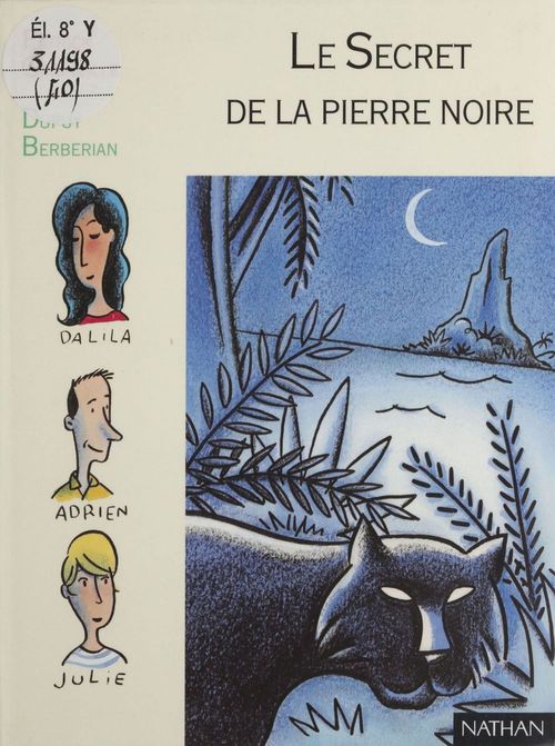 ebook cover of Le Secret de la pierre noire, by Patrick Grainville
