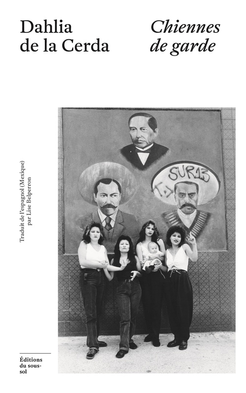 Couverture ebook de Chiennes de garde, de Dahlia de la Cerda