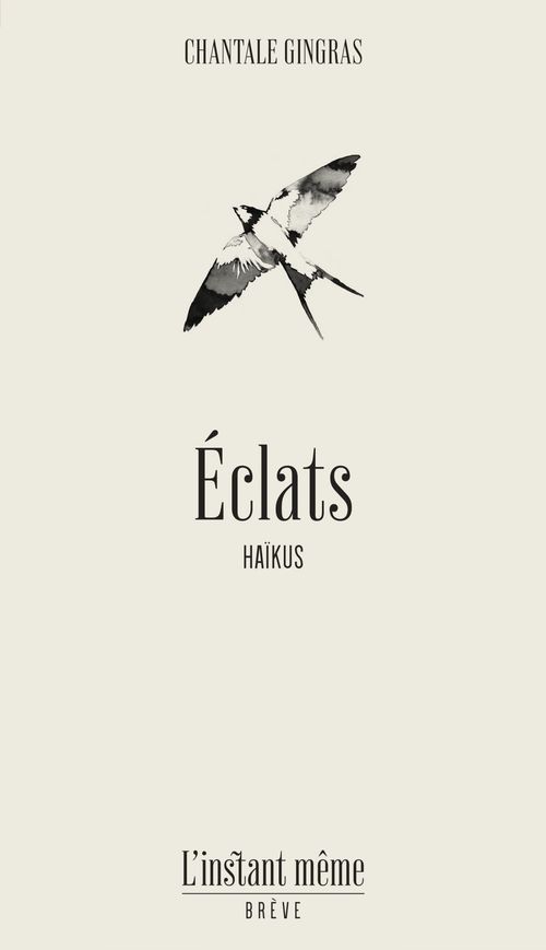 Couverture ebook de Éclats, de Gingras Chantale
