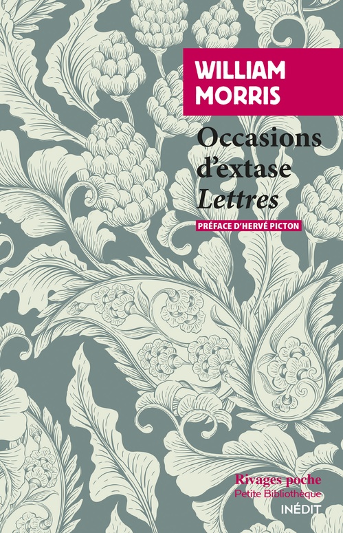ebook cover of Occasions d'extase, by William Morris