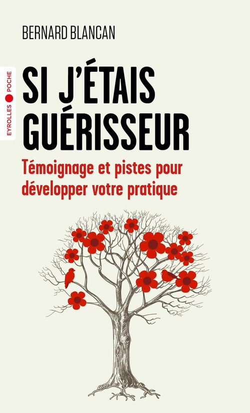 ebook cover of Si j'étais guérisseur, by Bernard Blancan