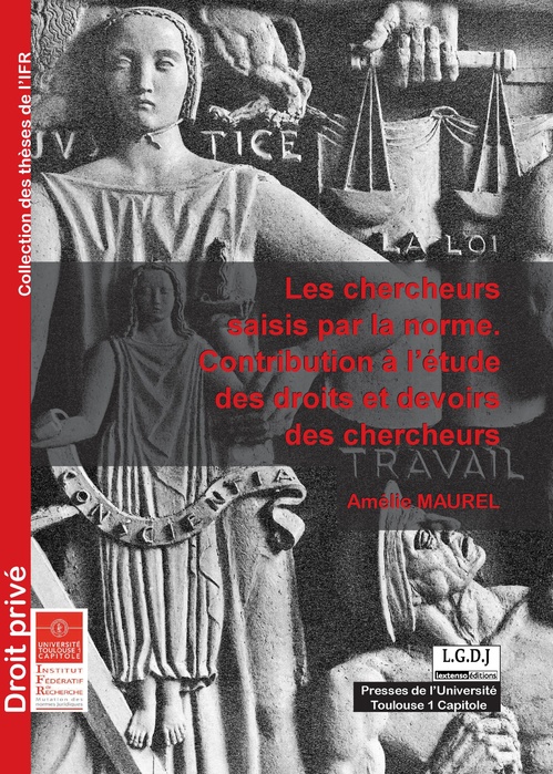 ebook cover of Les chercheurs saisis par la norme, by Amélie Maurel
