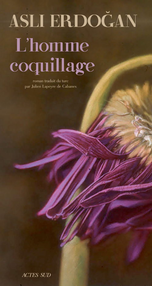 Couverture ebook de L'Homme Coquillage, de Asli Erdogan