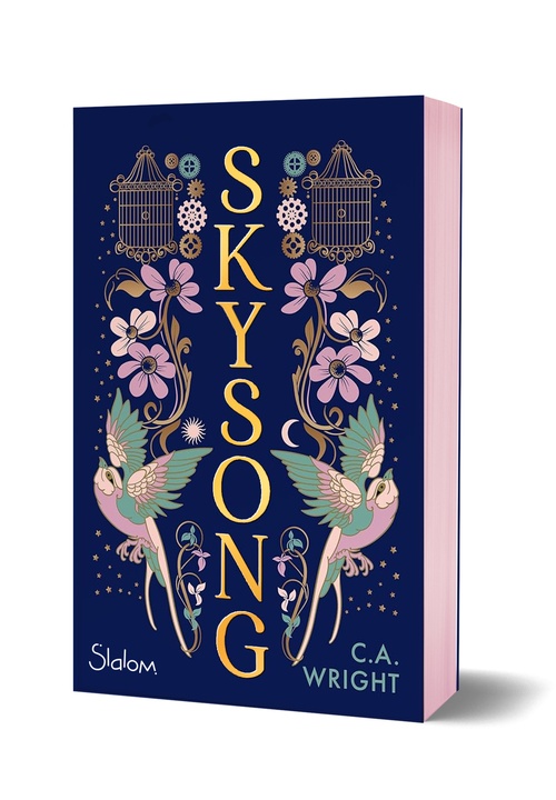 ebook cover of Skysong, by C. A. Wright
