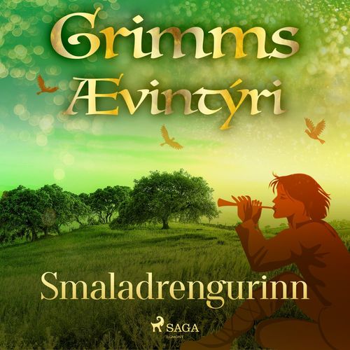 Couverture audiobook de Smaladrengurinn, de GrimmsbræðUr