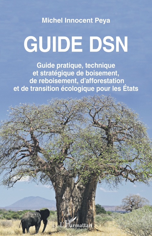 ebook cover of Guide DSN, by Michel Innocent Peya