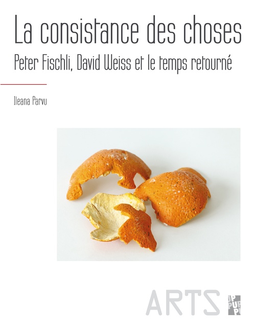 ebook cover of La consistance des choses, by Ileana Parvu