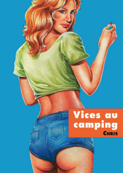ebook cover of Vice au camping, by Pierre Dupuis