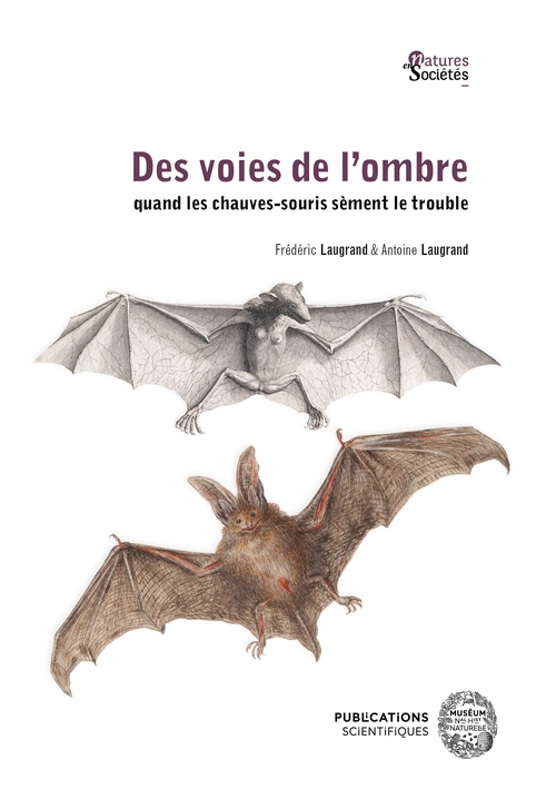 Couverture ebook de Des voies de l´ombre, de Frédéric Laugrand, Antoine Laugrand