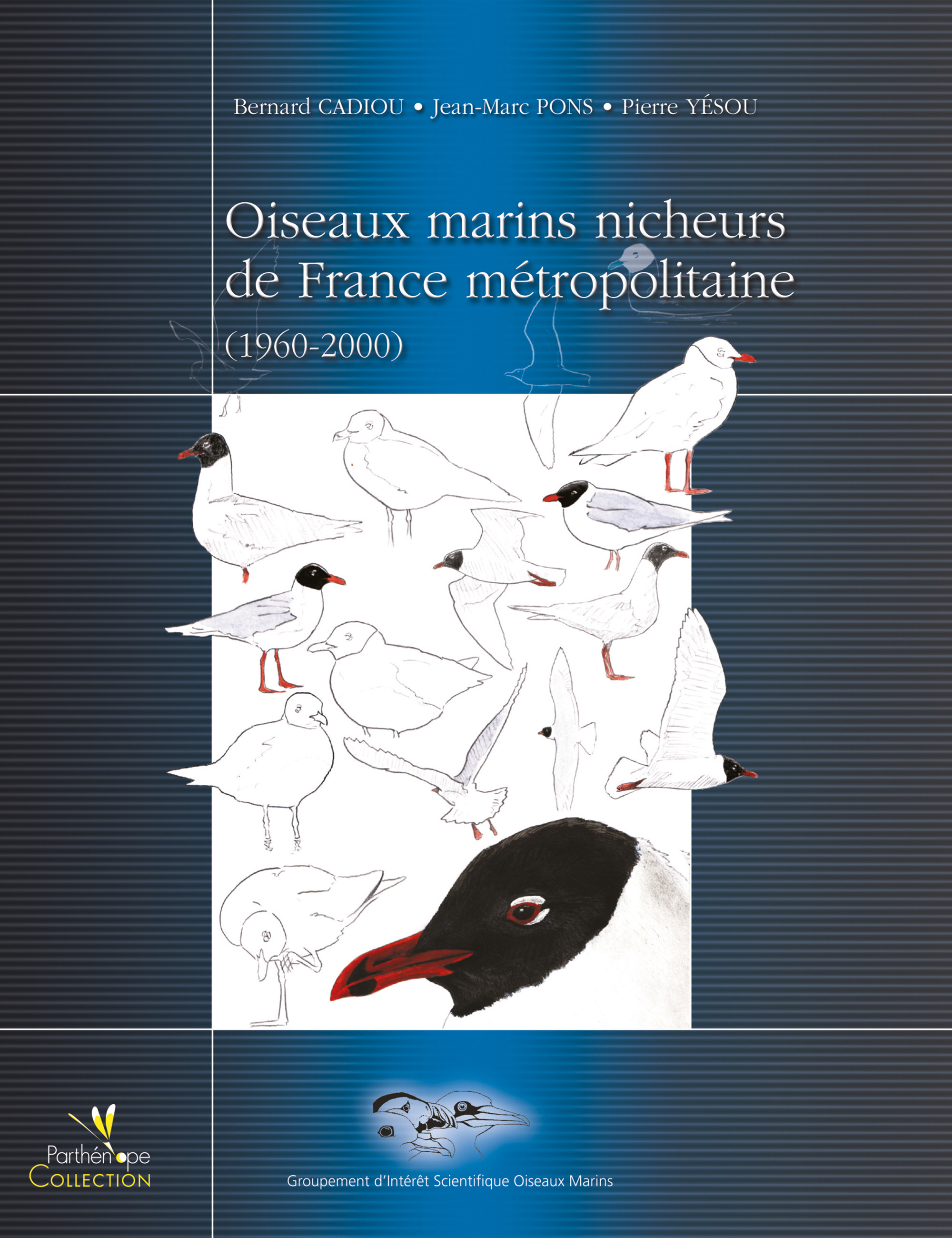Couverture ebook de Oiseaux marins nicheurs de France métropolitaine 1960-2000, de Cadiou/Pons/Yes