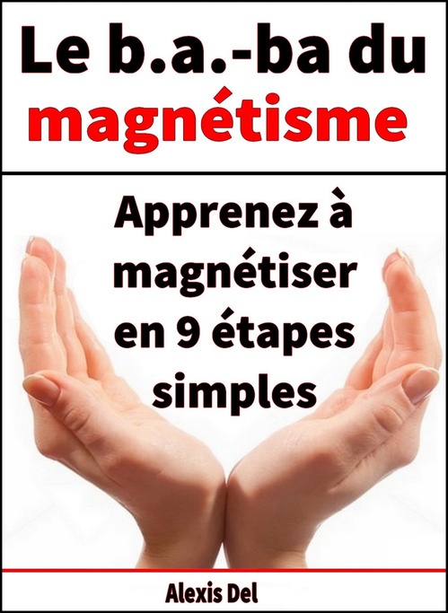 ebook cover of Le B . A.-BA du magnétisme, by Alexis Delune