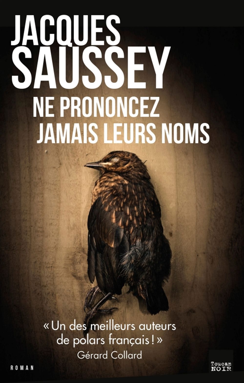 ebook cover of Ne prononcez jamais leurs noms, by Jacques Saussey