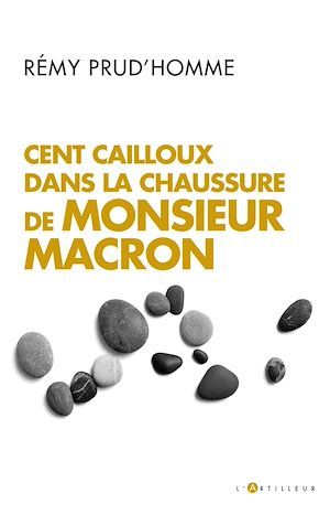 ebook cover of Cent cailloux dans la chaussure de M. Macron, by Rémy Prud'homme