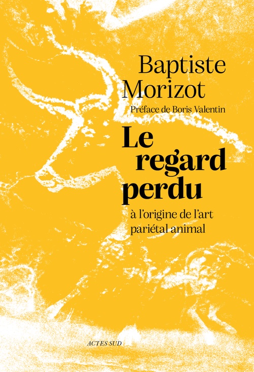 ebook cover of Le regard perdu, by Baptiste Morizot