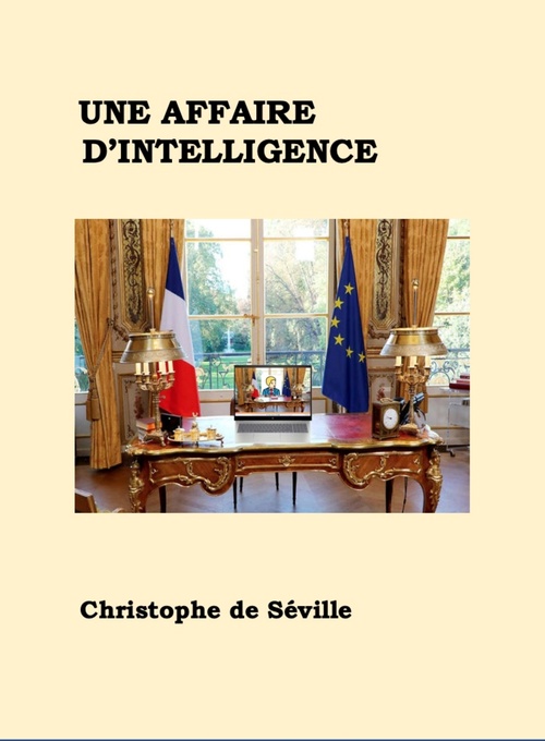 Couverture ebook de Une affaire d'intelligence, de Christophe De Seville
