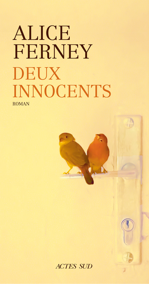 ebook cover of Deux innocents, by Alice Ferney