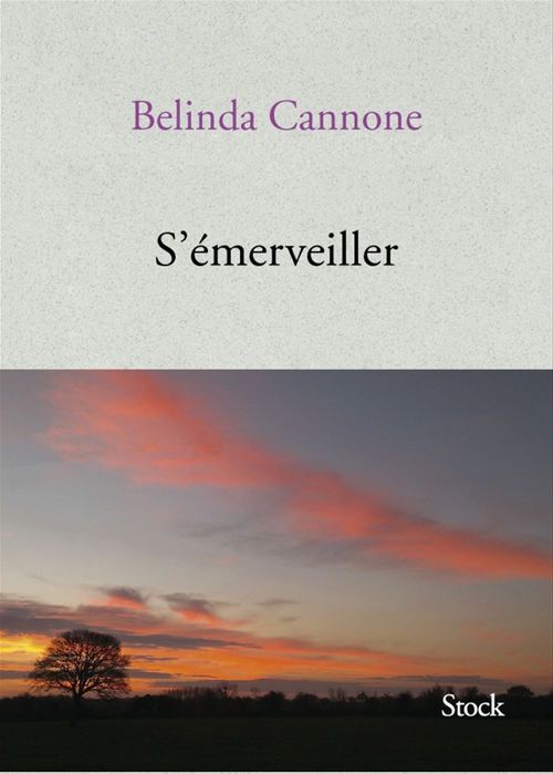 ebook cover of S'émerveiller, by Belinda Cannone