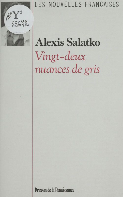 ebook cover of Vingt-deux nuances de gris, by Alexis Salatko