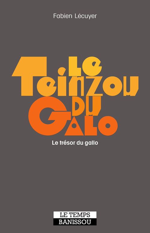 ebook cover of Le Teinzou du galo, by Fabien Lecuyer