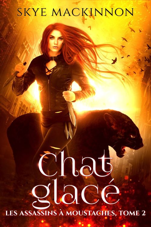 ebook cover of Chat glacé, by Skye Mackinnon
