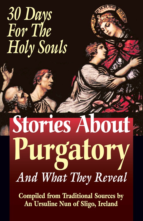Couverture ebook de Stories About Purgatory and What They Reveal, de Tan Books