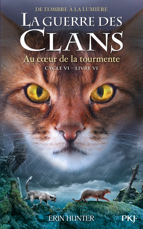 ebook cover of La guerre des clans - Cycle VI : De l'ombre à la lumière - Tome 6 Au coeur de la tourmente, by Erin Hunter