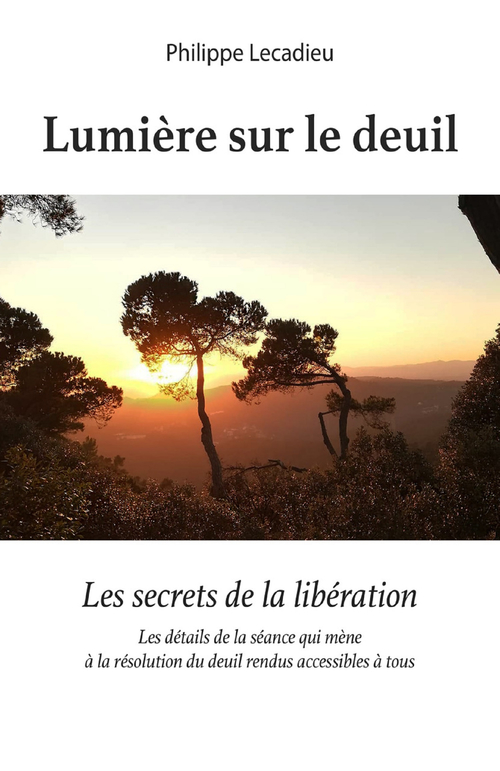 ebook cover of Lumière sur le deuil, by Philippe Lecadieu