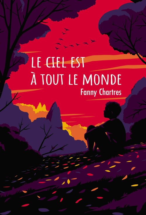 Couverture ebook de Le ciel est à tout le monde, de Fanny Chartres
