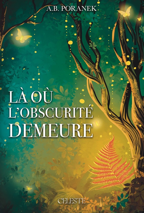 ebook cover of Là où l'obscurité demeure, by A.B. Poranek