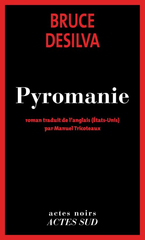 ebook cover of Pyromanie, by Bruce Desilva