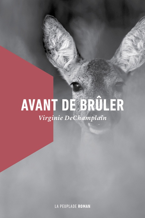 ebook cover of Avant de brûler, by Virginie DeChamplain