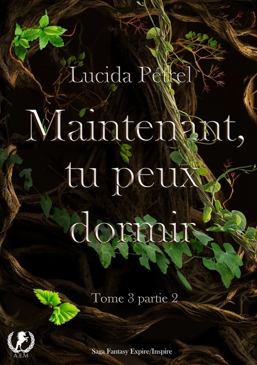 ebook cover of Maintenant, tu peux dormir - Tome 3, by Lucida Pétrel