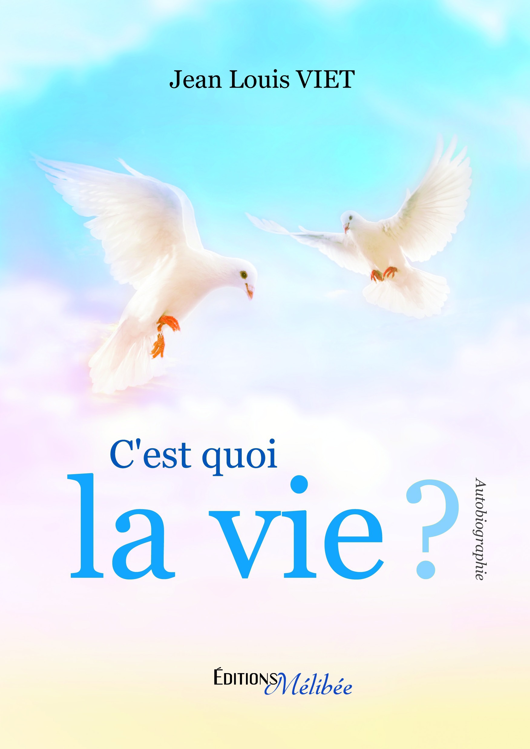 ebook cover of C'est quoi la vie ?, by Viet