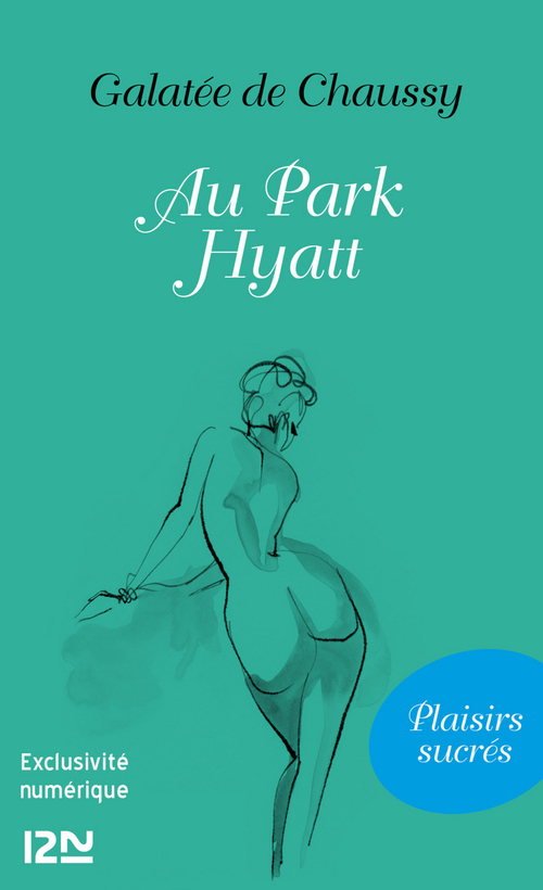 Couverture ebook de Au Park Hyatt, de Galatée de Chaussy
