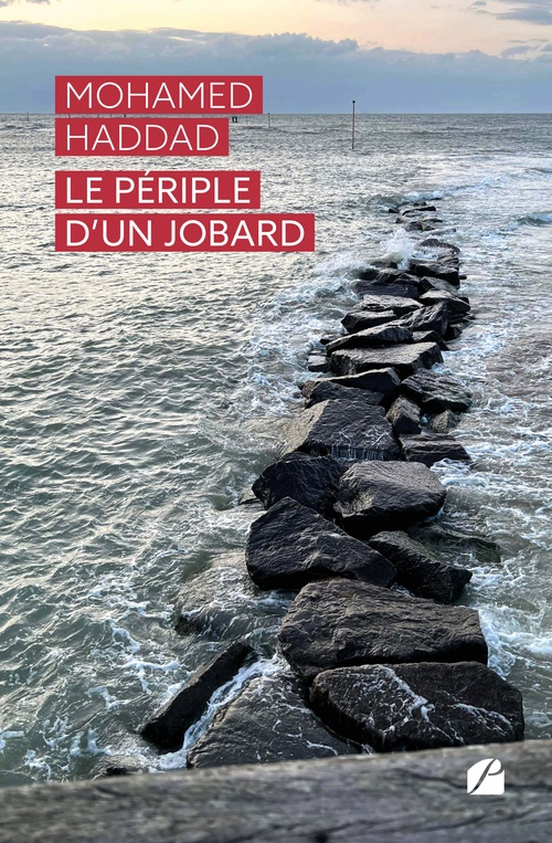 ebook cover of Le périple d´un jobard , by Mohamed Haddad