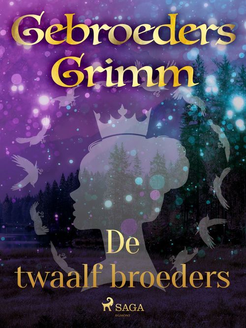 ebook cover of De twaalf broeders, by De Gebroeders Grimm