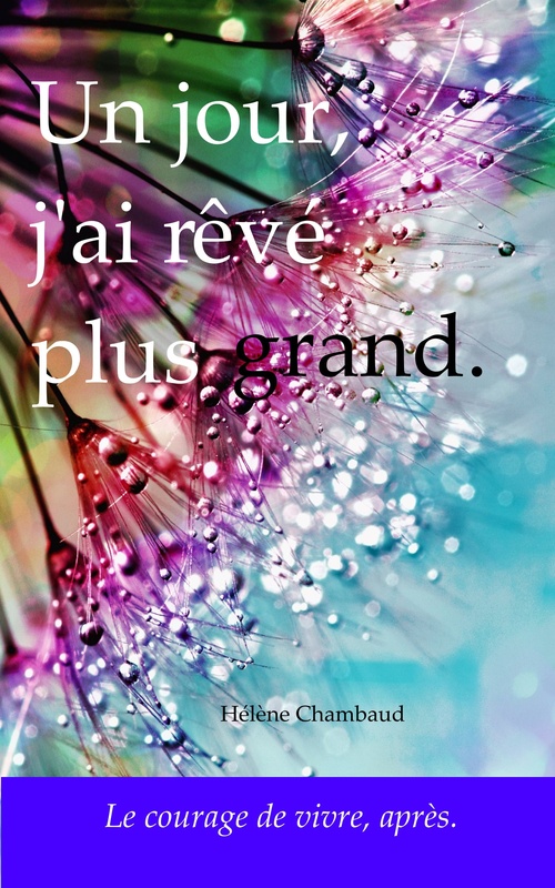 ebook cover of Un jour, j'ai rêvé plus grand., by Hélène Chambaud